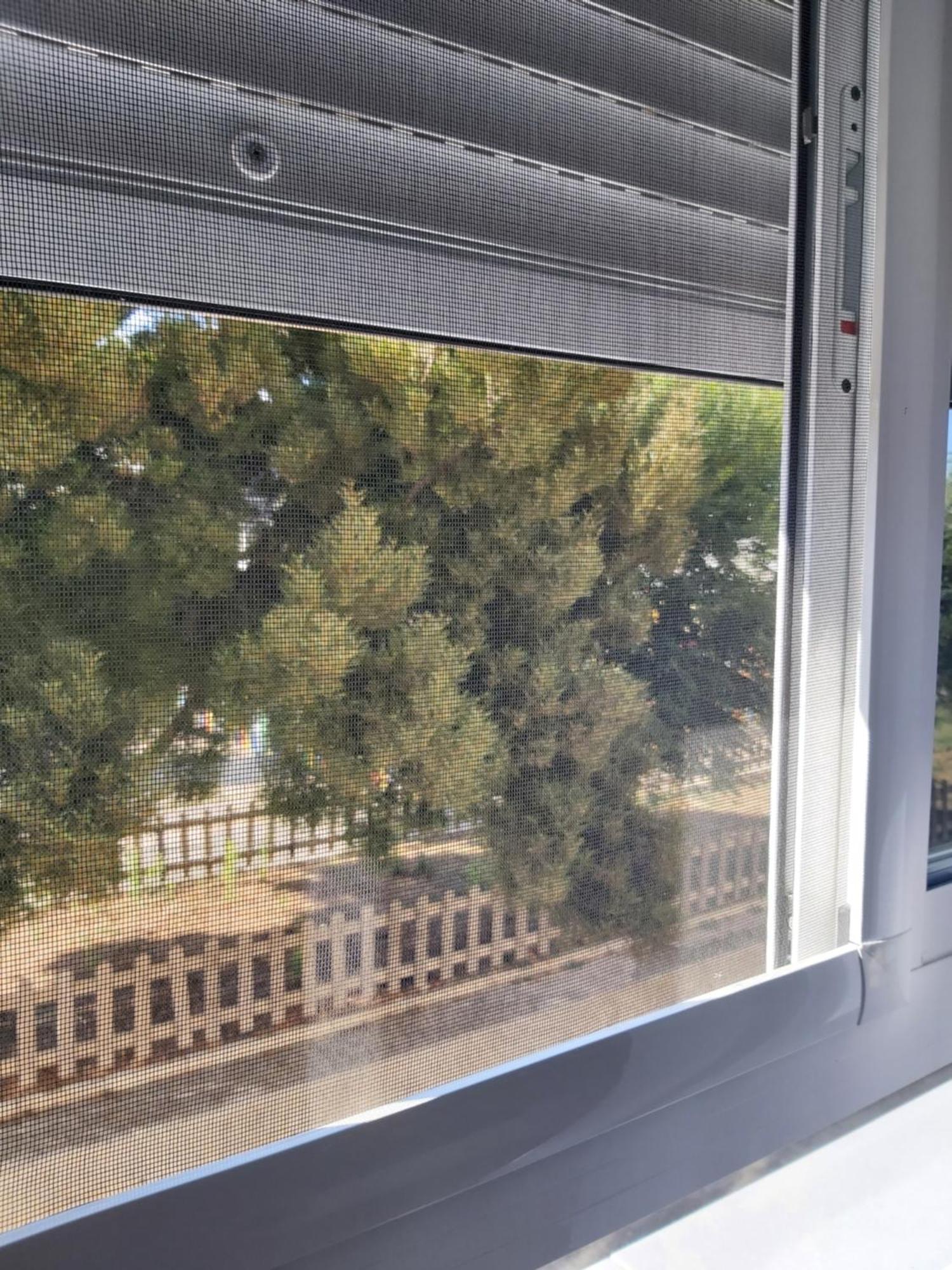Villatata 타리파 외부 사진